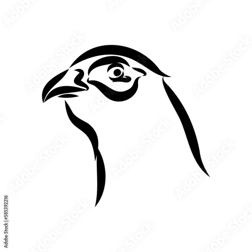 Hand drawn of an pheasant, sketch. Vector illustration isolated on a white background.