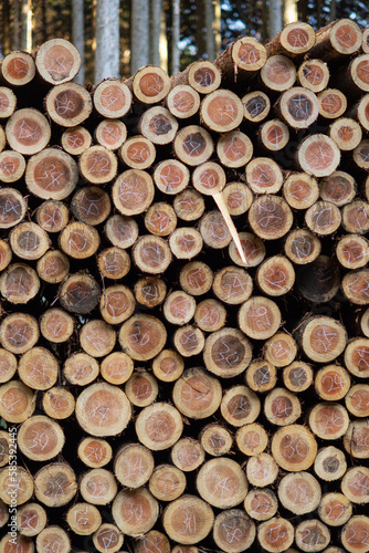 伐採された材木