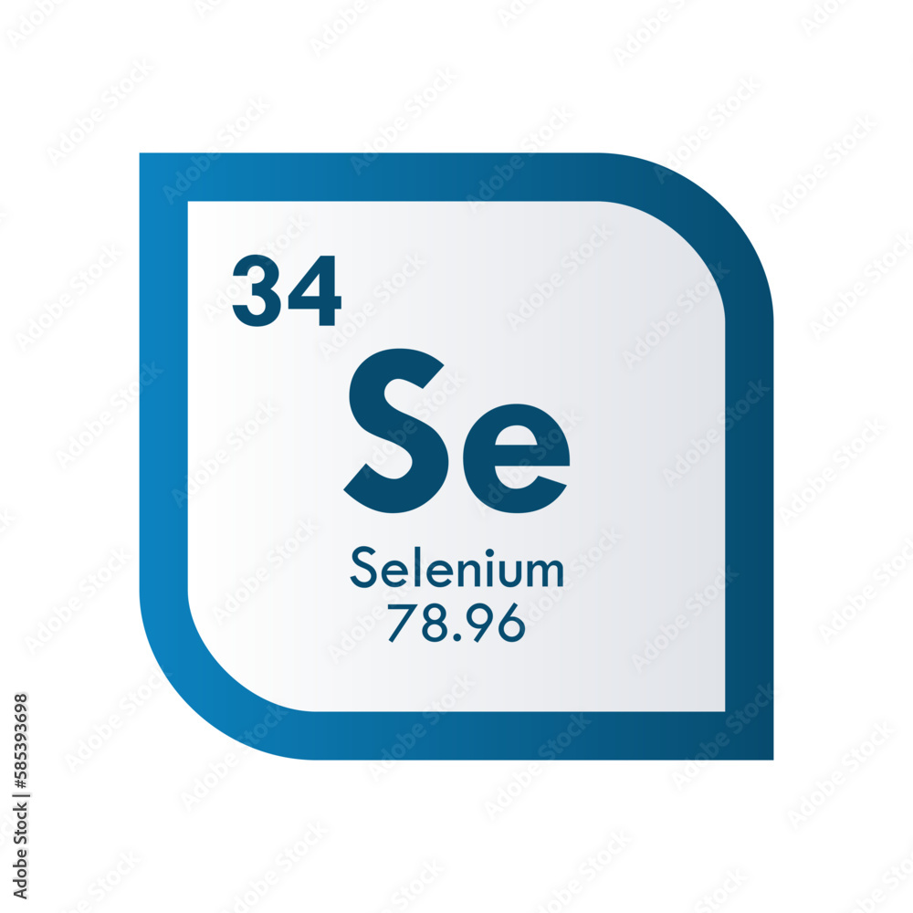 selenium icon set. vector template illustration for web design selenium icon set. vector template illustration for web design