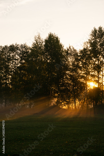 sunrise in the village 