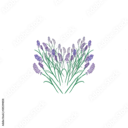 bunch of lavender heart