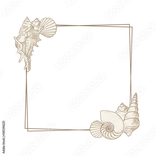 Square seashells frame. Sea and ocean design template. Vector illustration