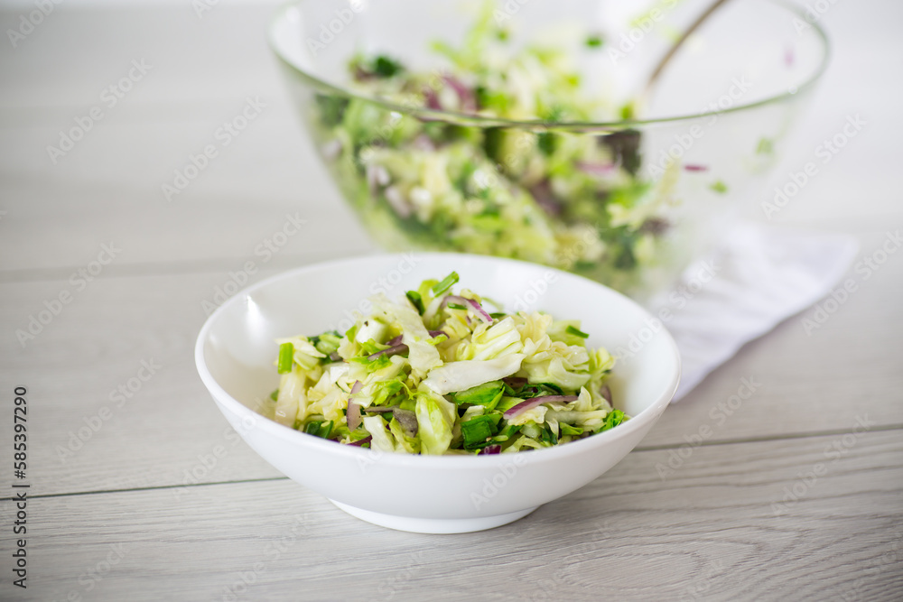 Young cabbage salad with purple onions in a bowl . Young cabbage salad with purple onions in a bowl .