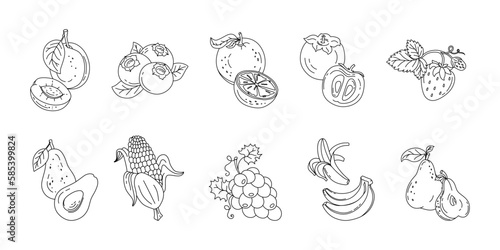 Fruits and berries doodle set Vector black and white illustration isolated on a white background