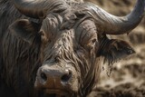 Close - up of a Cape buffalo, Generative AI