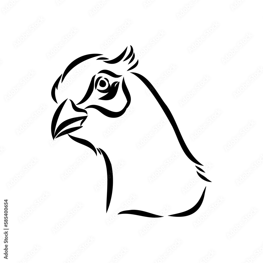 Obraz premium Hand drawn of an pheasant, sketch. Vector illustration isolated on a white background.