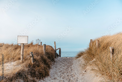 Path to the Beach with Blue Sea View over the Horizon background