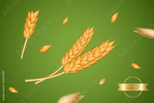 Spikelets of wheat. Oat grain for barley bread. Spike seeds, 3d cereal, agriculture fields, rye flour, gold farm elements. Organic objects. realistic illustration on green background