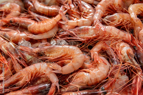 Fresh red prawns, ready to cook