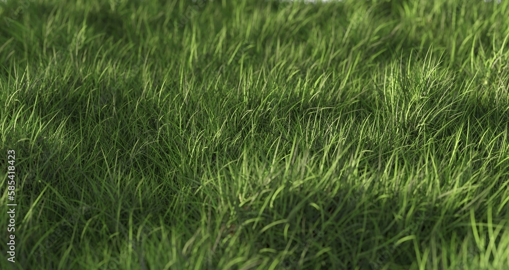 Long blade green grass background, ecology, spring, easter or gardening template element, selective focus Long blade green grass background, ecology, spring, easter or gardening template element, selective focus