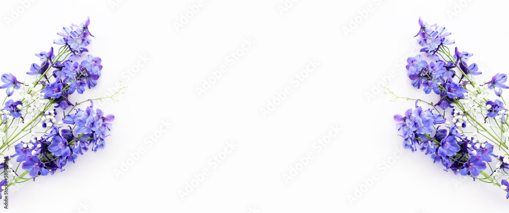 Top view image of violet delphinium flowers composition over white isolated background Top view image of violet delphinium flowers composition over white isolated background