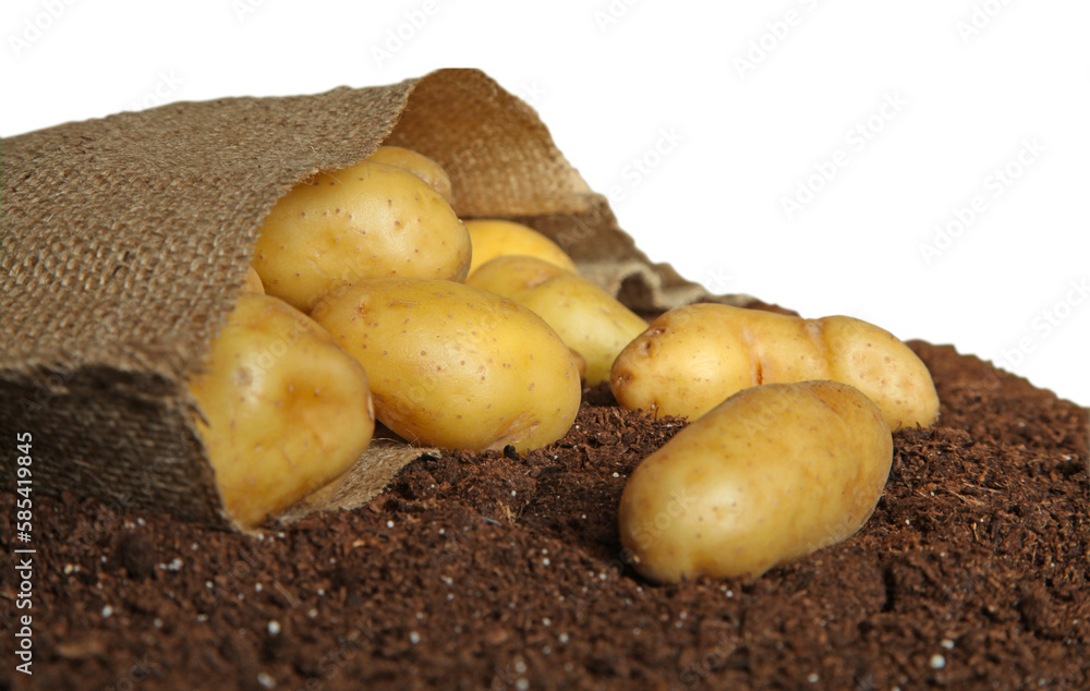 Sac Toile De Jute Lot De Sacs En Toile De Jute 60x105 Cm 305 G