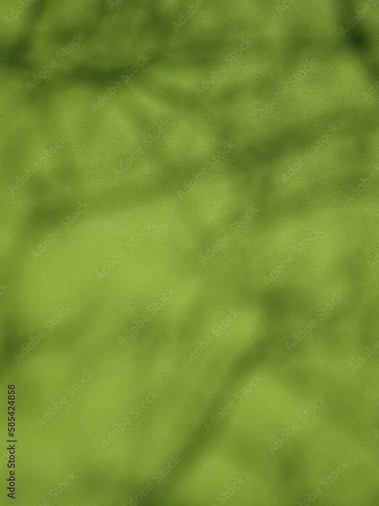 Shadow of leaves tree on green background Shadow of leaves tree on green background