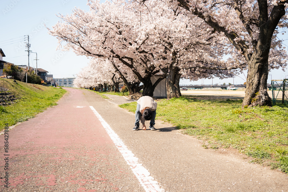a boy in a sidewalk with cherry blossom trees a boy in a sidewalk with cherry blossom trees