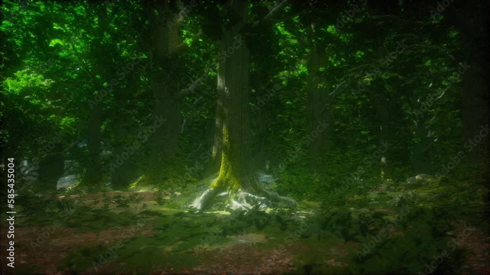 tree roots and sunshine in a green forest tree roots and sunshine in a green forest