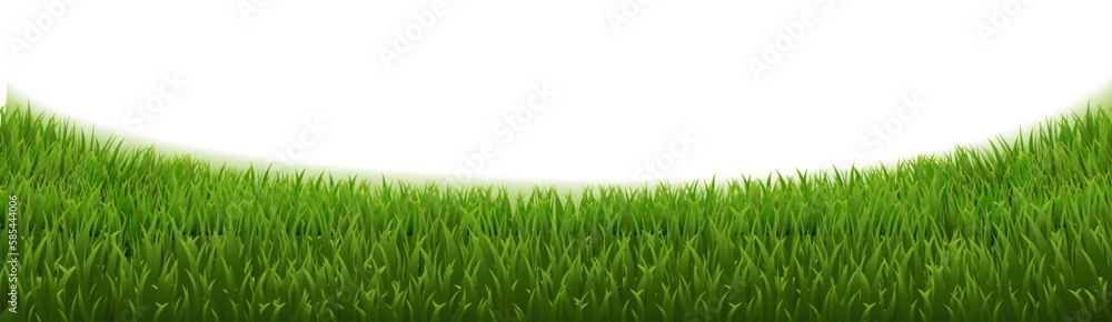 Obraz premium grass frame isolated