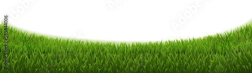 grass frame isolated