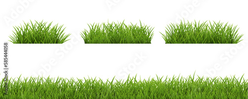 Green grass border