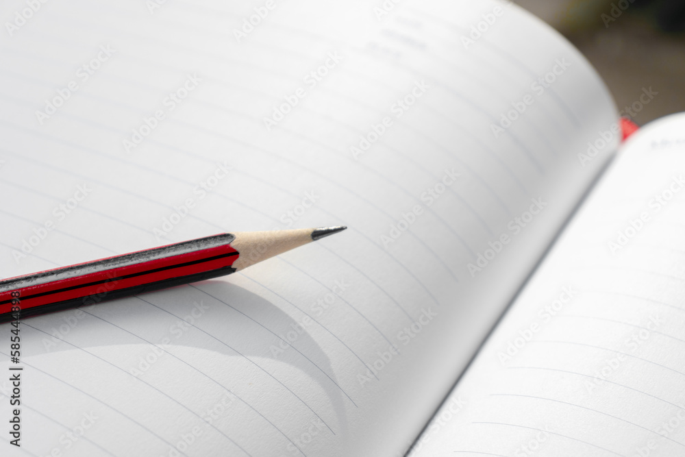 A wooden pencil placed on an opened book. A wooden pencil placed on an opened book.