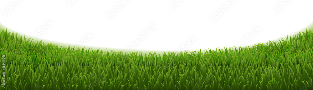 Obraz premium Grass Panorama And Isolated White Banner