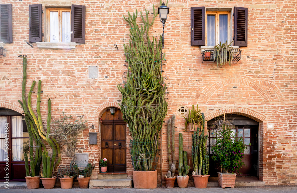Gambassi Terme medieval town: characteristic historic building with succulent plants - Gambassi Terme, Firenze province, Tuscany, Italy - june 1, 2021