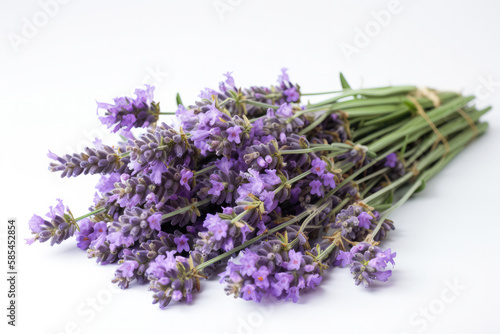 Bunch of lavender flowers on a white background.