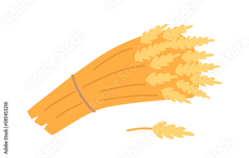 Wheat Sheaf Isolated On White Background. Symbol Of Abundance And Prosperity, Bundle Of Wheat Stalks Bound Together