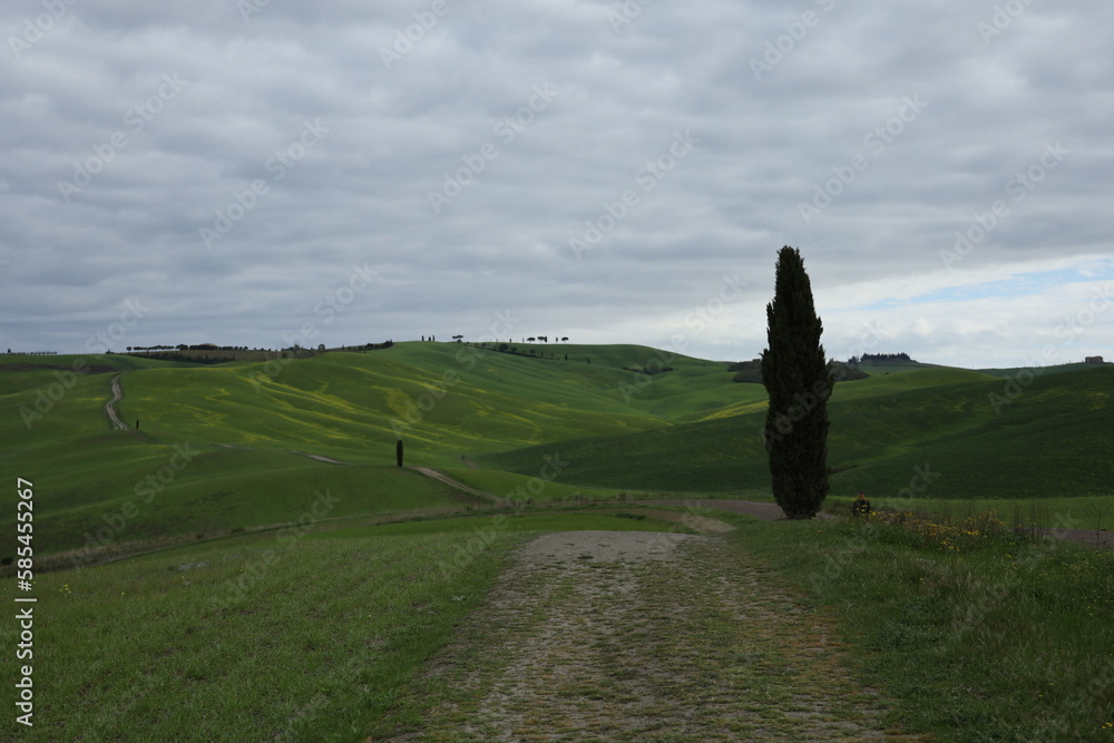 TUSCANY, VAL D'ORCIA, LA FOCE, SIENA