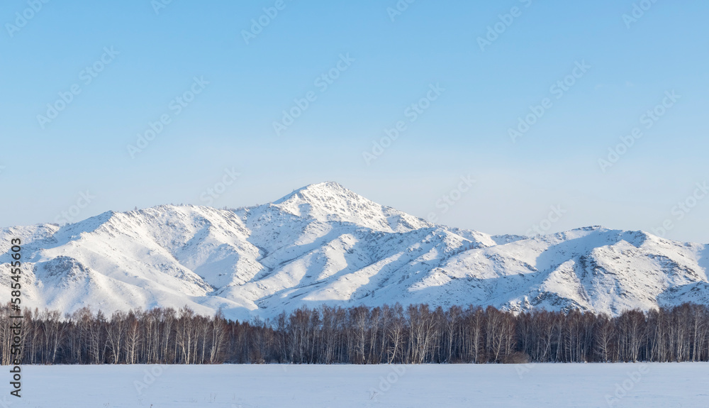 snow-covered mountain with a forest at the foot at dawn