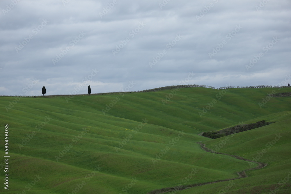TUSCANY, VAL D'ORCIA, LA FOCE, SIENA
