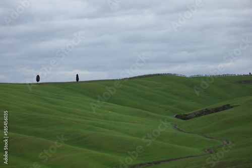 Obraz na płótnie TUSCANY, VAL D'ORCIA, LA FOCE, SIENA w salonie