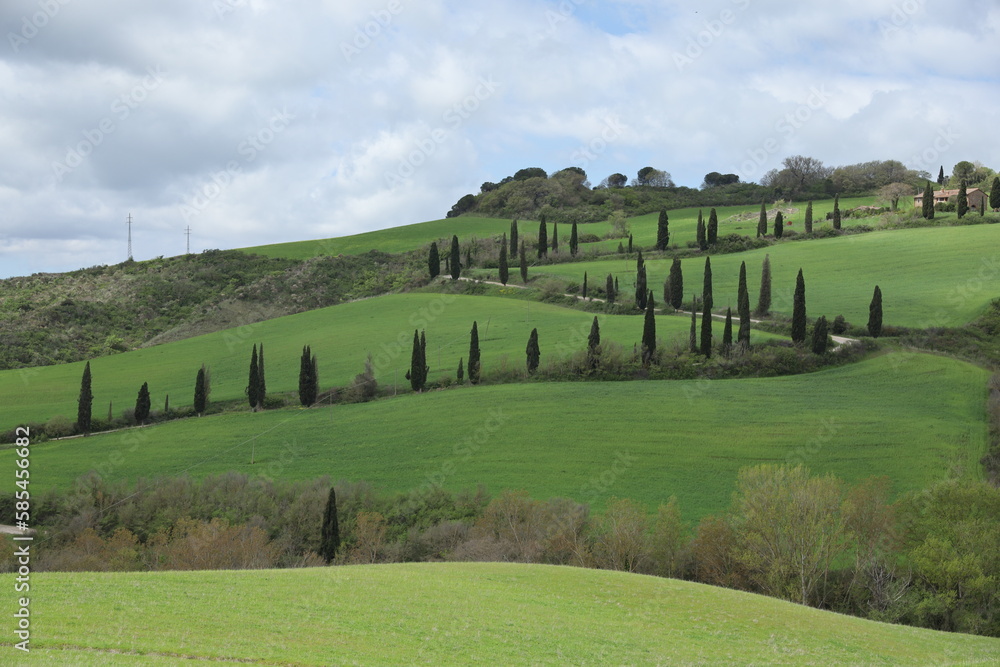 TUSCANY, VAL D'ORCIA, LA FOCE, SIENA