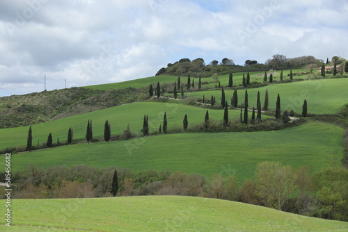 Obraz na płótnie TUSCANY, VAL D'ORCIA, LA FOCE, SIENA w salonie