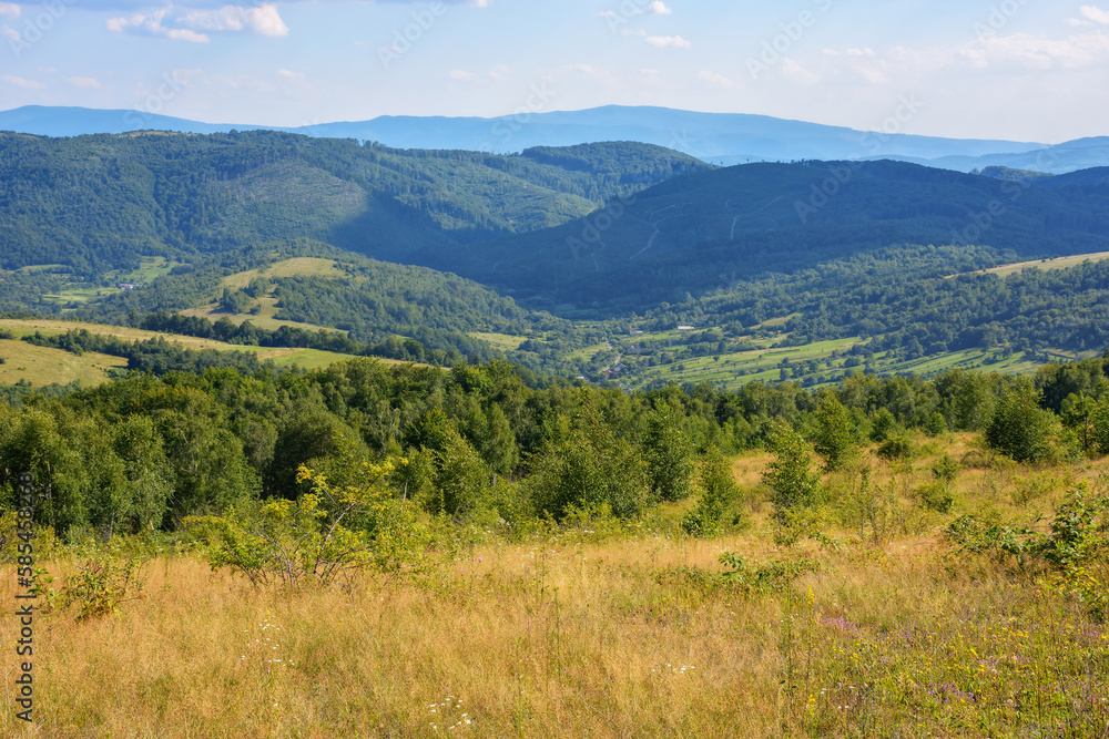 grassy meadows on the hills of ukrainian highlands. carpathian countryside on a sunny summer afternoon