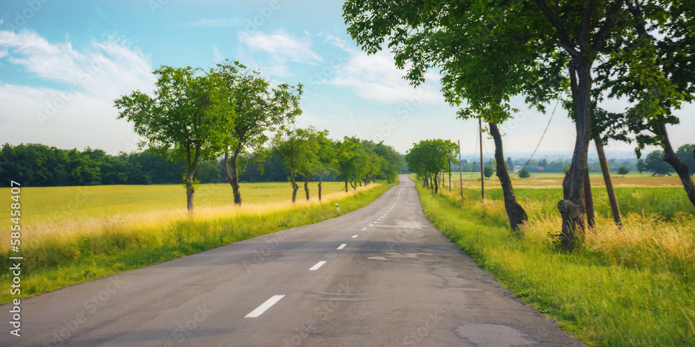 road leads through scenic countryside journey. asphalt way invites travelers to embark on a trip through the serene landscape, where nature beauty is on full display