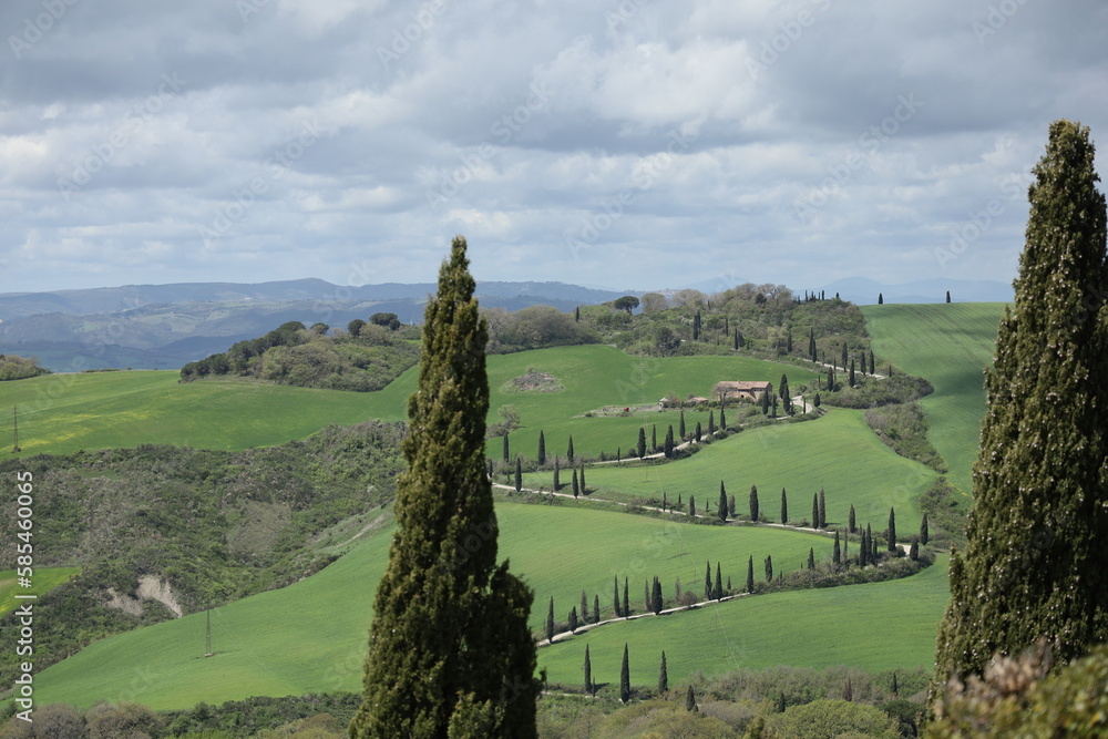 TUSCANY, VAL D'ORCIA, LA FOCE, SIENA