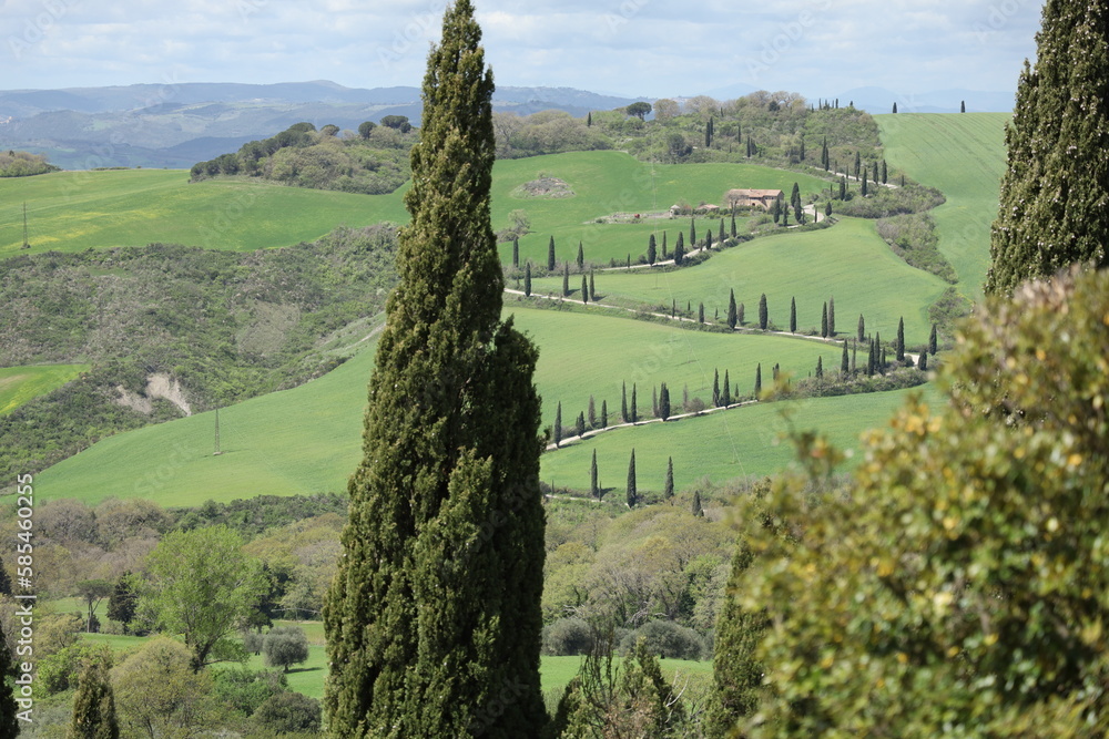 TUSCANY, VAL D'ORCIA, LA FOCE, SIENA