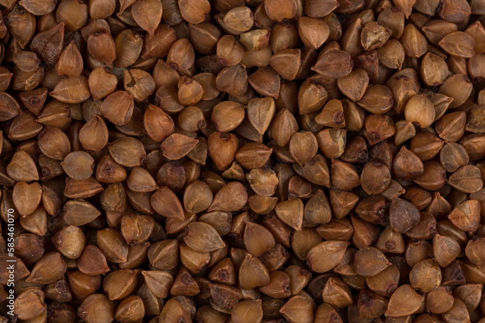 Buckwheat texture Buckwheat texture