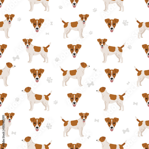 Jagdterrier clipart. Different poses, coat colors set.  Vector illustration