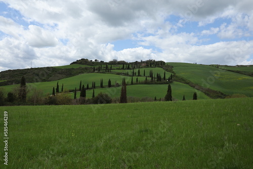 Obraz na płótnie TUSCANY w salonie