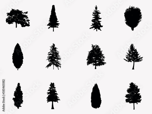 set of cedar tree silhouette. trees and nature design element. isolated vector image of coniferous tree clipart