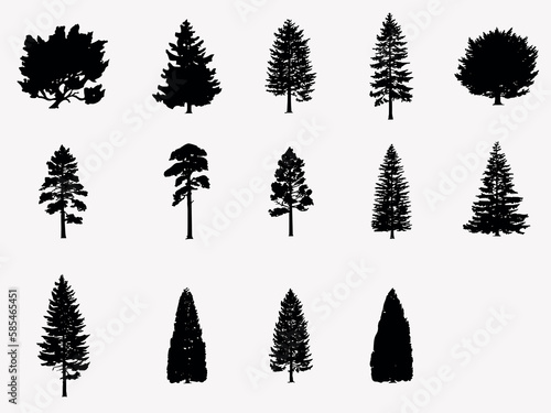 set of pine tree silhouette vector illustration