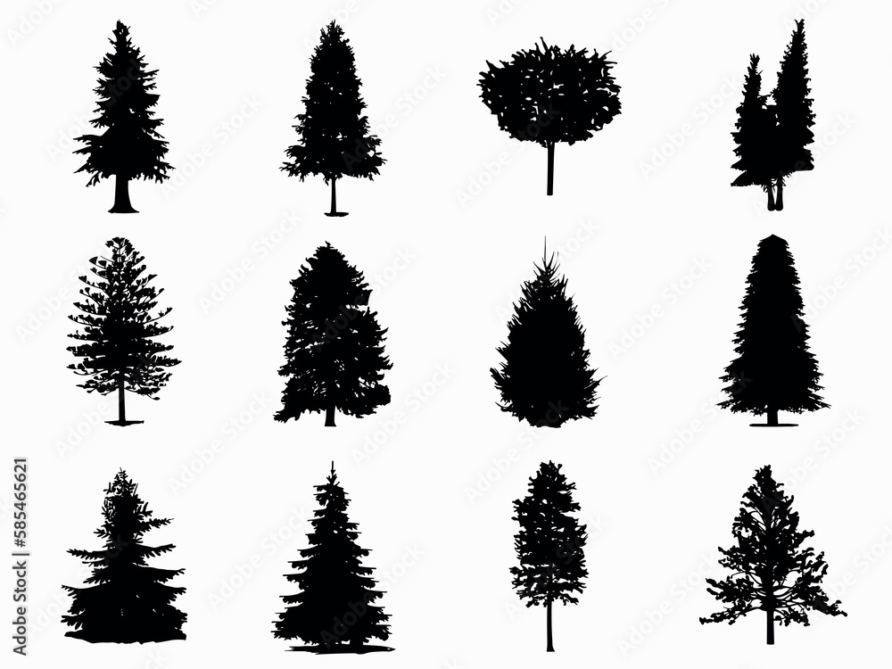 spruce tree vector silhouette .forest tree clipart illustration