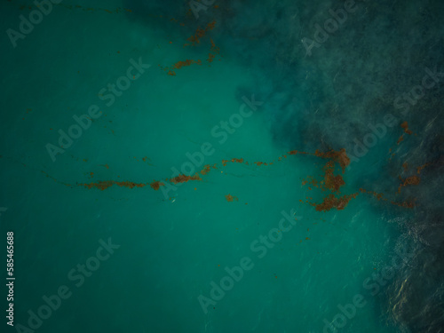 View from above. Algae in the sea. Clear turquoise sea water and seaweed. Nature, environmental protection, climate change, global warming. © Anton