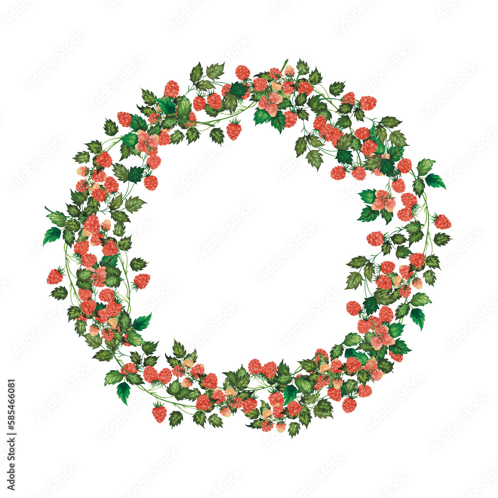 Raspberry wreath watercolour round on white . High quality illustration Raspberry wreath watercolour round on white . High quality illustration