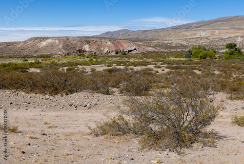 Landscape shot of the Argentinian Pampa in the Province Neuquén - Traveling South America