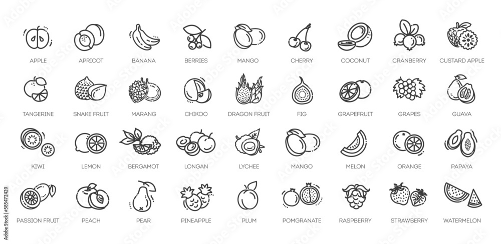 Fruit Healthy eating Thin Line Pack. Vector icons