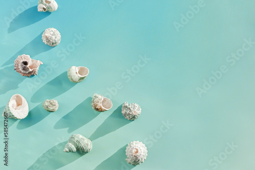 Top view summer background with shells at sunlight, seashell, conch on blue mint colored fon, stylish still life summer sea theme, abstract nature flat lay, copy space, flare from sun, gradient