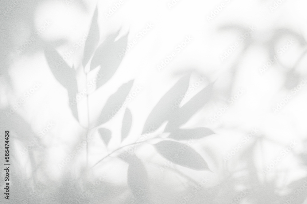 Leaf shadow and light on wall background. Nature tropical leaves tree branch and plant shade with sunlight from sunshine dappled on white wall texture for background wallpaper, shadow overlay effect Leaf shadow and light on wall background. Nature tropical leaves tree branch and plant shade with sunlight from sunshine dappled on white wall texture for background wallpaper, shadow overlay effect
