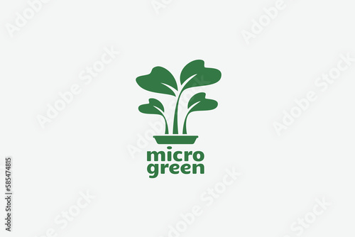 microgreen logo with vegetable sprouts as the icon.